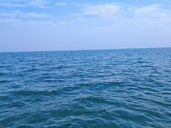 -养马岛旅游度假区