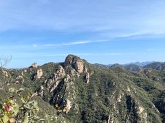 -大岭沟猕猴桃谷风景区