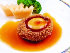 金汁鲍鱼-中旅阿那亚九龙湖·公主酒店