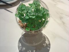 -码头见·潮汕菜(领展中心城店)
