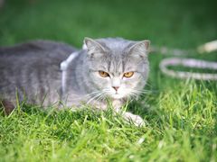 -上海滨江森林公园