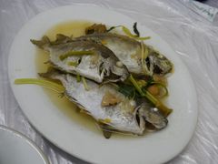竹子鱼-老三鱼仔店
