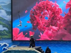 -海合安成都极地海洋公园