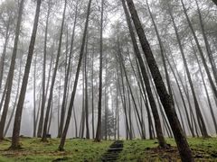 -硗碛藏寨·神木垒景区