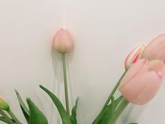 -川耳坊专业采耳馆