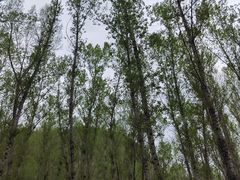 -百里山水画廊