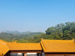 -深圳仙湖植物园