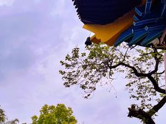 -杭州半山国家森林公园