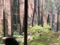 -忆江南·临江鱼馆