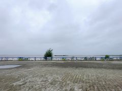 -呼兰河口湿地公园
