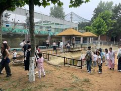 -西霞口神雕山野生动物世界