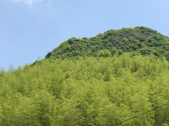 -老虎土菜馆·农家土菜