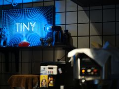 -TINY