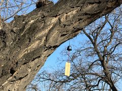 -五进制 Coffee Shop