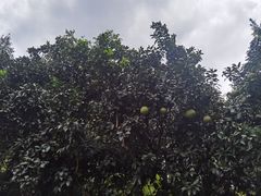 -汇龙潭
