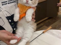 -袖虎·猫馆(体育西路店)