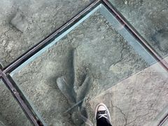 -诸城市恐龙博物馆