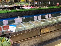 -宝燕壹号(徐汇店)