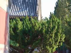 -大钟寺古钟博物馆