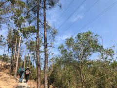 -皇鸽餐厅(五桂山分店)