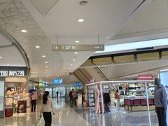 -紫峰大厦