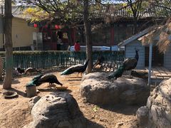 -有喜胶东小馆(太申祥和店)