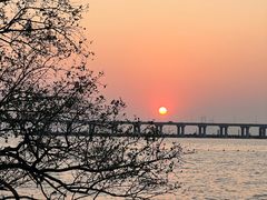 -宝安西湾红树林湿地公园