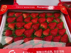 -双福水果批发市场