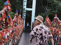 -西双版纳原始森林公园