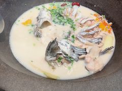 -鲜潭蒸汽石锅鱼(五道口购物中心店)