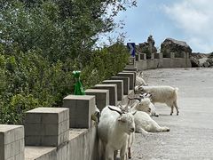 -白草畔自然风景区