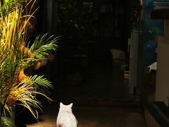 -咖法森林·咖啡  酒吧(天河店)