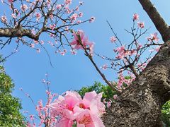 -洨河生态公园