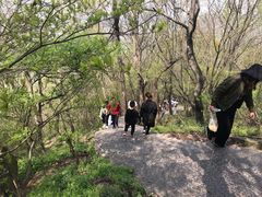 -紫金山索道-售票处