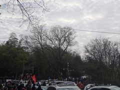 -紫金山山顶公园