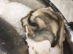 -绮梦西湖·云端餐厅(歌德店)
