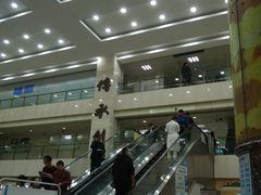 -上海市中医医院(芷江路院区)