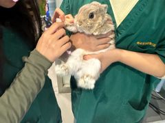 -雨林宠物医院 非犬猫异宠专科