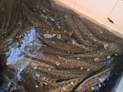 -湘芙蓉·湖南菜(椒江店)