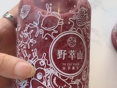 -野萃山·潮汕厚果汁(十亩地店)