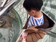 -陕西自然博物馆