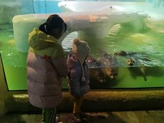 -大连圣亚海洋世界