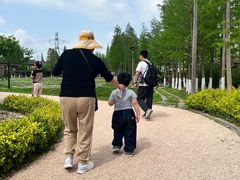 -乌村