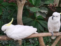 -南宫五洲植物乐园