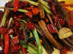 -院8里·少城记忆老川菜(宽窄巷子店)