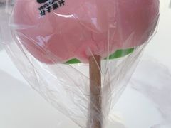 -野萃山·潮汕厚果汁(十亩地店)