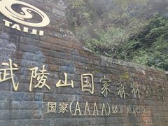 -武陵山森林公园