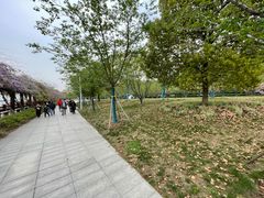 -幕燕滨江·燕子矶公园