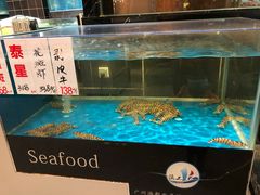 -宝园酒家(美林M·LIVE天地东座店)