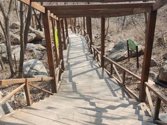 -大岭沟猕猴桃谷风景区